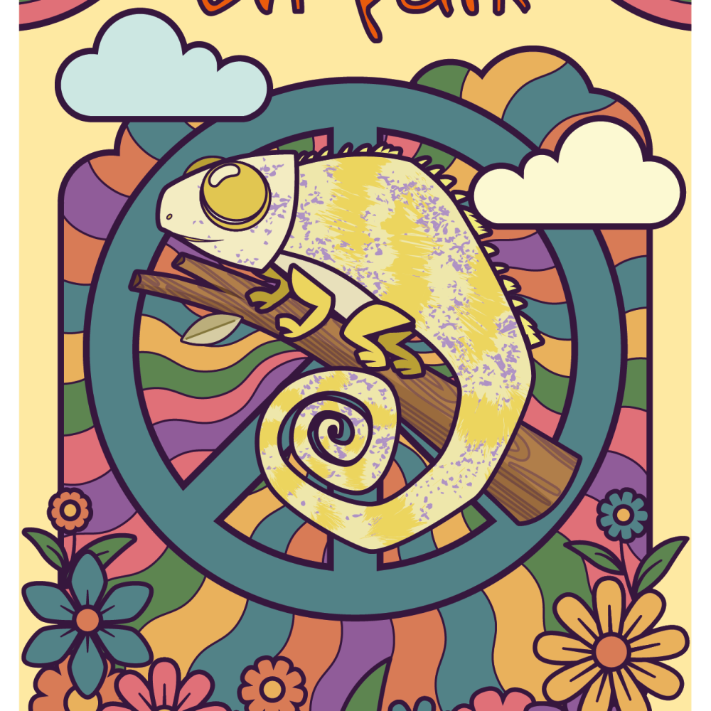 caméléon_besoins_Paix